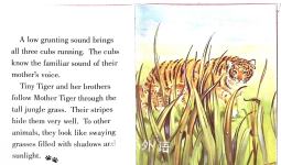 Tiny Tiger AT HOME IN THE JUNGLE