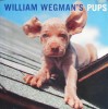 William Wegmans Pups