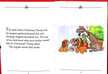 Ladys Christmas Surprise