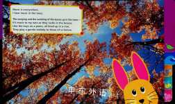 Baby Mozart:Music Is Everywhere!