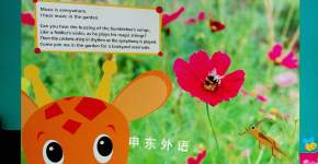 Baby Mozart:Music Is Everywhere!