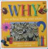 Why are zebras black and white? Questions children ask about color