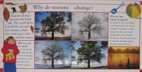 Why Do Seasons Change?: Questions Children Ask about Time and Seasons Why Books