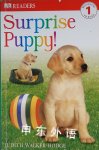 DK Readers: Surprise Puppy Level 1: Beginning to Read Judith Hodge
