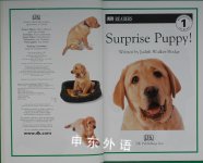 DK Readers: Surprise Puppy Level 1: Beginning to Read