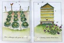 Grandmas Garden