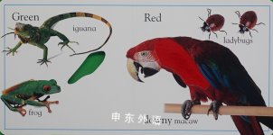 Touch and Feel: Animal Colors
