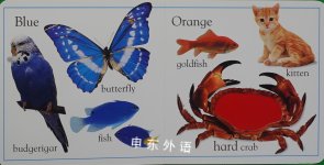 Touch and Feel: Animal Colors