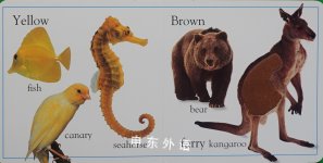 Touch and Feel: Animal Colors