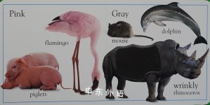 Touch and Feel: Animal Colors