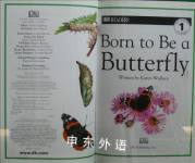 Born To Be A Butterfly 