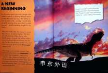 WALKING WITH PREHISTORIC BEASTS PHOTO JOURNAL