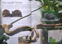 Reptiles