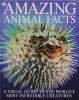 Amazing Animal facts