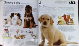 Dogs and Puppies