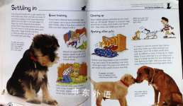 Dogs and Puppies