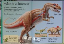 Dinosaurs (Beginners Nature - New Format)