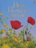 How Flowers Grow (Usborne Beginners)