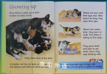 Cats (Usborne Beginners, Level 1)