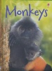 Monkeys (Usborne Beginners)