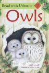 Owls Sarah Courtauld