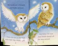 Owls