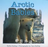 Arctic Babies Kathy Darling