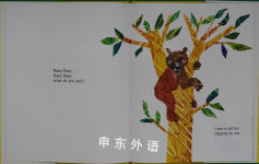 Baby Bear Baby Bear What Do You See?