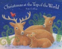 Christmas at the Top of the World (Albert Whitman Prairie Books)
