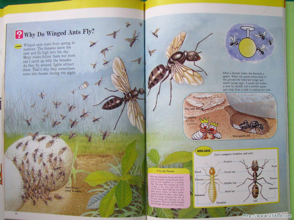 ウクライナ情勢 世界子ども学大事典 / 原タイトル:ENCYCLOPEDIA OF