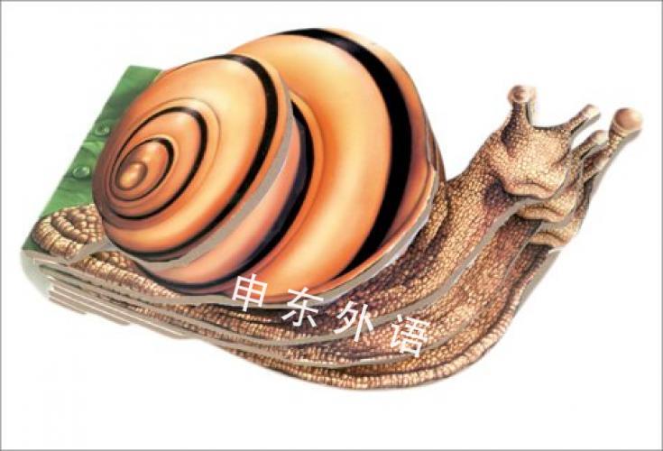 Portable Pets Snail 爬行动物和两栖动物 动物 儿童图书 进口图书 进口书 原版书 绘本书 英文 原版图书 儿童纸板书 外语图书 进口儿童书 原版儿童书