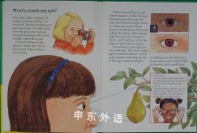 The Senses (A Lift-The-Flap-Body Book)