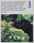 Labrador Retrievers