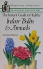 The Instant Guide to Healthy Indoor Bulbs ＆ Annuals