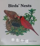 Birds' Nests Eileen Curran
