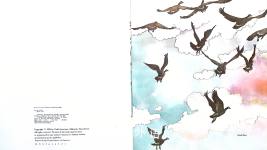 Birds Nests