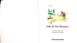 Life In The Meadow