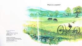 Life In The Meadow