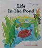 Life in the Pond