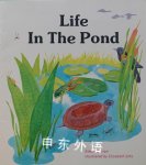 Life in the Pond Eileen Curran