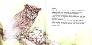 A Picture Book of BIRDS