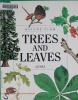 Trees & Leaves - Pbk Nature Club