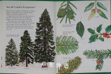 Trees & Leaves - Pbk Nature Club