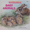 A Picture Book of Baby Animals