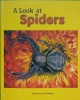 A Look at Spiders 