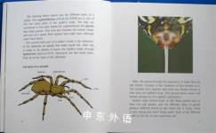 Spiders (Lerner Natural Science Books)