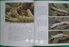 Silkworms (Lerner Natural Science Books)