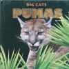 Pumas (Big Cats)