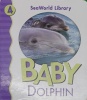 Baby Dolphin San Diego Zoo