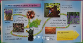 Why Do Plants Grow in Spring? (What? Where? Why)